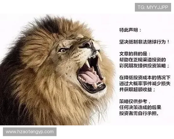 欧洲杯门票信息公布，官方渠道及购票指南更新