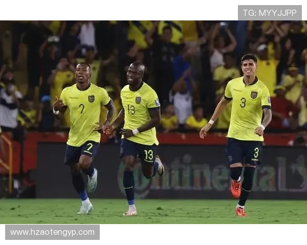 南美足球球队配置