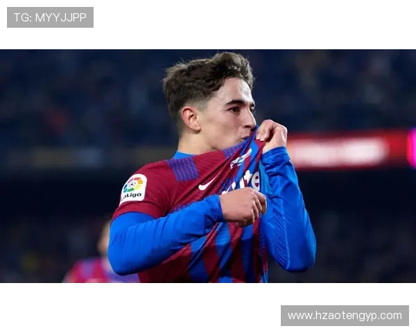 加维纪录片推荐